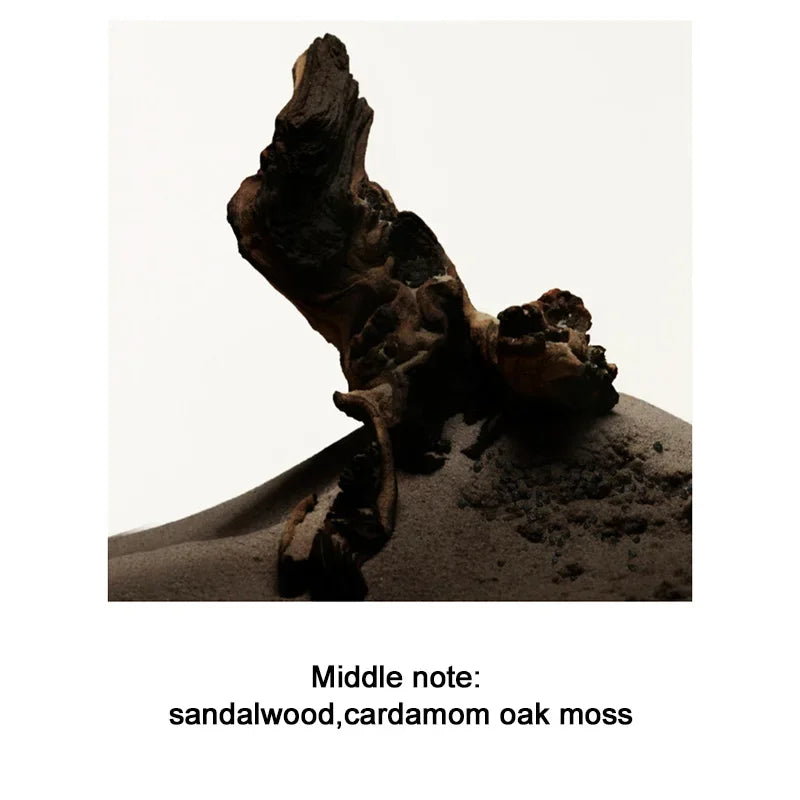 Men's Perfume 100ML Ebony Men Sandalwood Perfume Spray Flirting Pheromone Long Lasting Romance Attract Women Valentine Day Gift